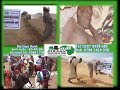 African Development Trust, By Nabiil Nur