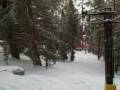 videos de Jan 03 2007 - VID00004