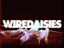 wire daisies, make everything change, out now on itunes, amazon, rhapsody, and all other major digital retailers. the uk's best kept secret is coming to america.

for more information please visit www.wiredaisies.com 

� 2008 emi / transistor project / mrv