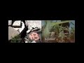 Canine Augmentation Technology - Trial 8 - Rubble Search
