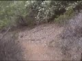 Some