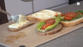 Vegetarische Mayonnaise mit Milch (ohne Ei) Vegetarische Mayonnaise mit Milch (ohne Ei)