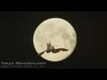 Mothra Trailer 1996  モスラ