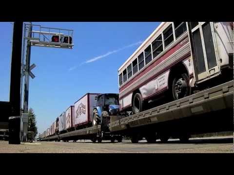 how to train circus animals