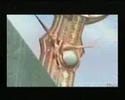 Anima: la chimère des ténèbres... Anima: la chimère des ténèbres...