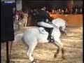 Cardento mov. 01