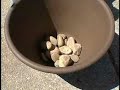 Jim Zamzows Gardening Tip #8 Jim Zamzows Gardening Tip #8