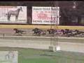 Derby del Trotto 2006 - Batteria C - GLEN KRONOS
