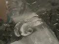 Carving Ice with Conical Endmill Bits Carving Ice with Conical Endmill Bits