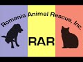 romania imports from media pro studios