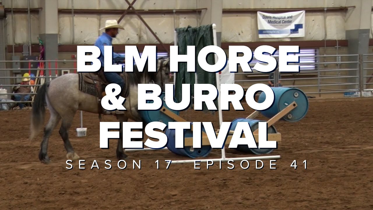 S17 E41: BLM Horse & Burro Festival