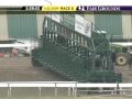 FAIR GROUNDS, 2009-11-22, Race 5