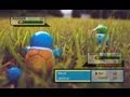Pokemon Wifi Battle - 35 vs. WileChase