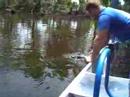 New Orleans Croc