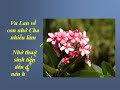 VU LAN NHỚ CHA - Nhạc Võ Tá Hân - Thơ Thích Nguyên Siêu - Ca sĩ Hoàng Quân