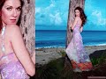Celine Dion-I Love You Manele-Gratis.net