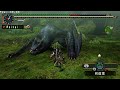 MHP2ndG - ナルガクルガ2頭/Dual Nargakurga pt.1