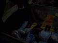 videos de rico and rique de leon video 11