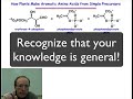 Introduction to the Shikimate Pathway