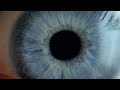 S.DARKO - Teaser