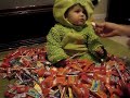 Shiloh and Halloween Candy