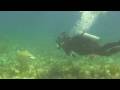 Scuba Diving Florida Keys