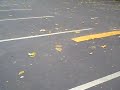 M4V01898.MP4