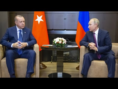 Putin und Erdogan einig: Entmilitarisierte Zone für ...