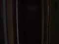 our black lab coal loves to sing to the hermonica!