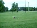 Falcon 3D 400 - Hover practice