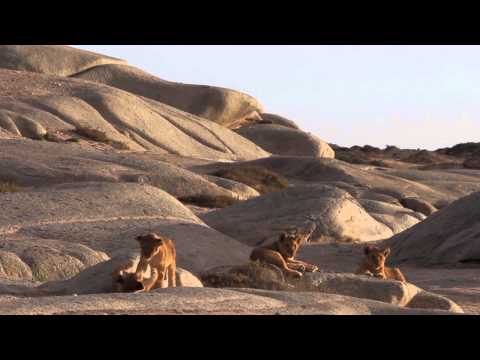 Finalist films in ATTA's Adventure in Motion Film Contest