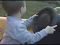 Ryker Autopia.3GP