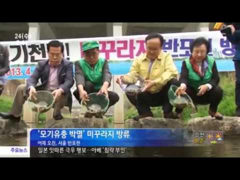 TV속의 서초(13.4.22-4.28)