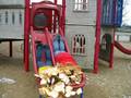 Bread Slide