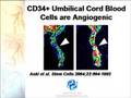 Stem Cell Therapy for Autism