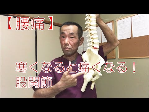【腰痛】寒くなると痛くなる！股関節