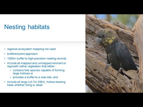 <p>Looking for orts and other tales: using bird data to inform land-use decisions and planning in south-east Queensland</p>
 video thumbnail
