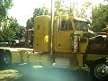 3408 cat running.