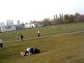 videos de un mono en greenwich park