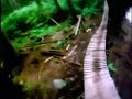 Downhill Mountain Biking - North Shore CBC