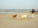 Doctor Gonzo and Rowan at Marazion