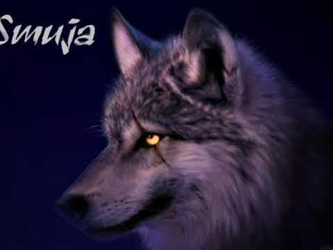 Smuja & Nicety -Jom Shok Me Rrugen