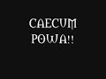 Zulaman - Nalorakk - CAECUM Uldum Spain