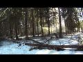 Гренландия-2 Трейлер