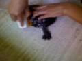 videos de El Baño De Pinpon