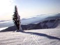 Jeff Miller down Ridge Run - Dec 27th 09