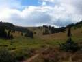 The Road Less Travelled