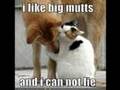 Lolcats rippoff\tribute