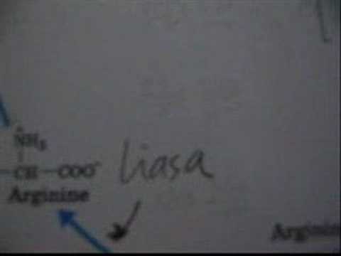 Imagen de previsualización de YouTube