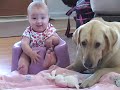 yellow lab and baby pt 2